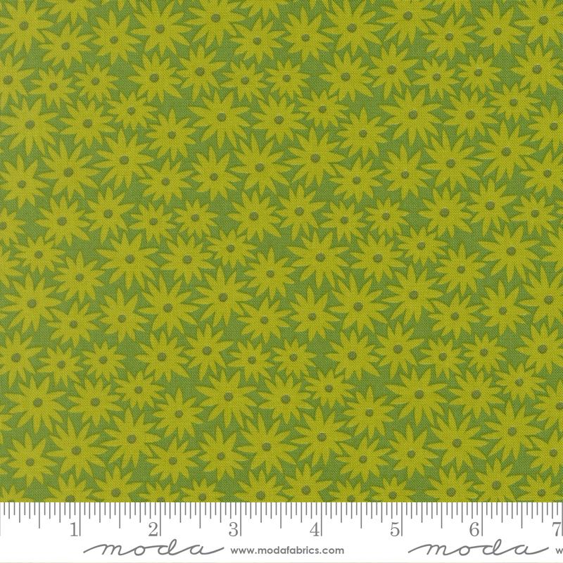 51270 14 Scenery Sedum Limeade