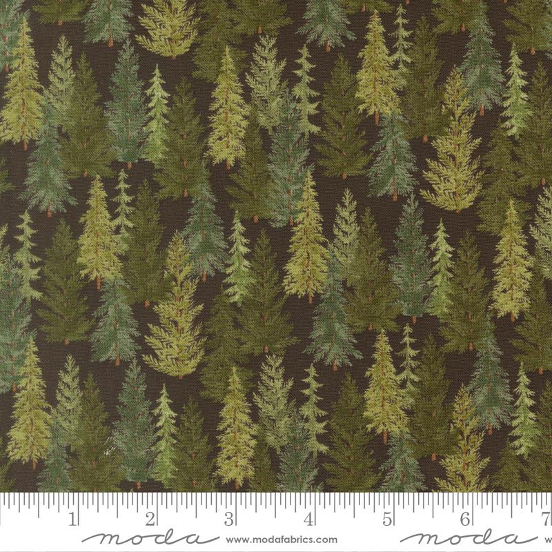 56192 22 Northwoods Lodge Soil
