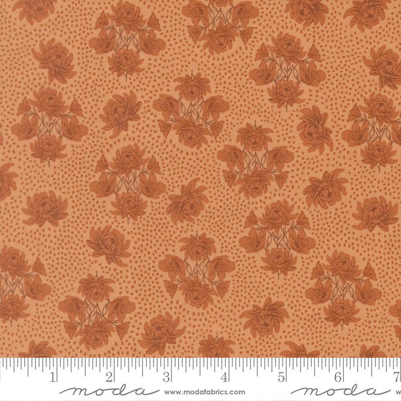 45672 14 Wellspring Coral Seashell
