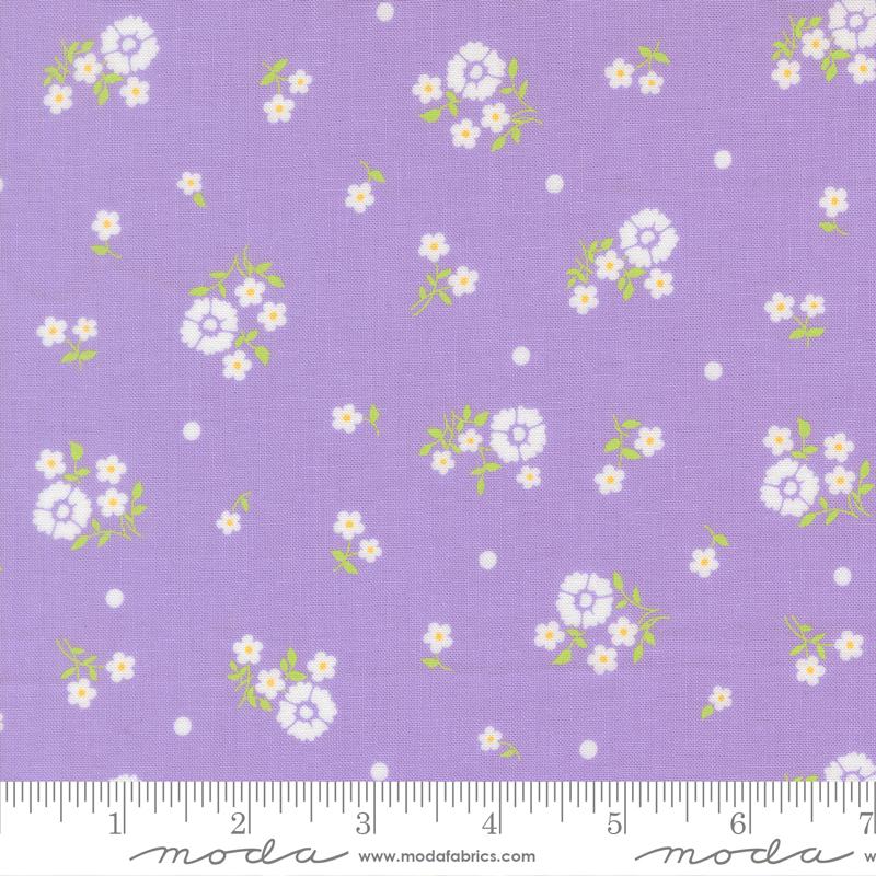 29252 22 Joysome Lavender
