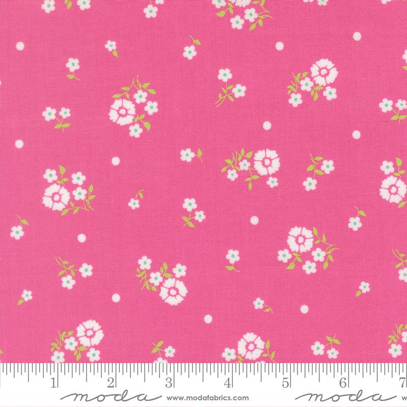 29252 26 Joysome Petunia