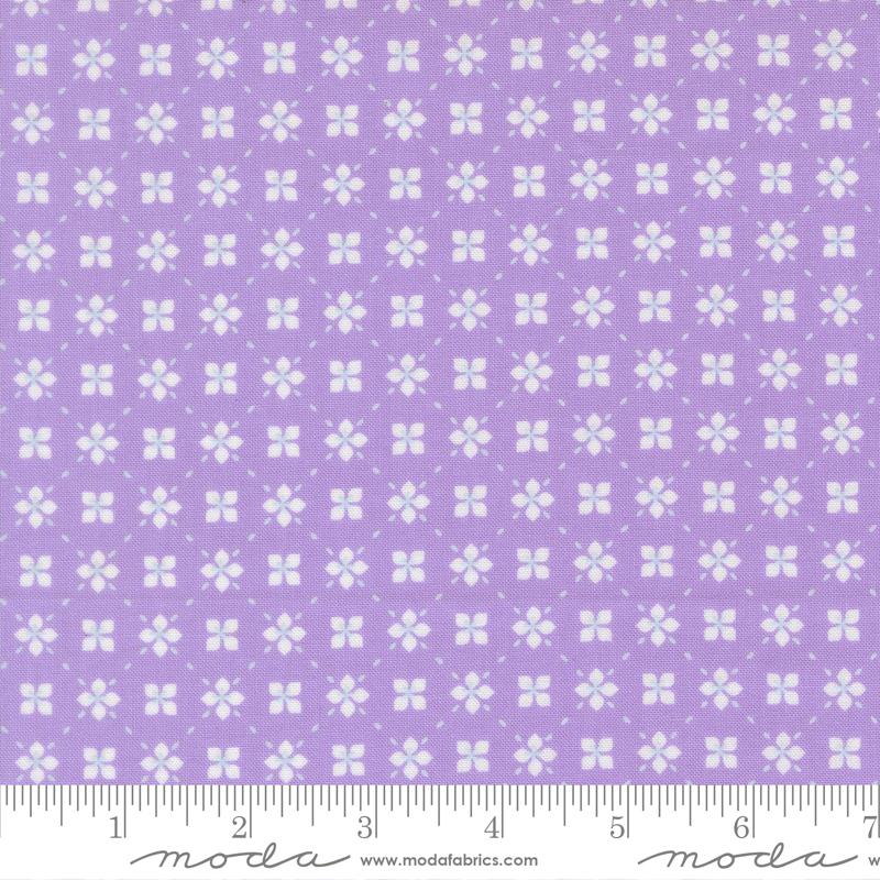 29254 22 Joysome Lavender