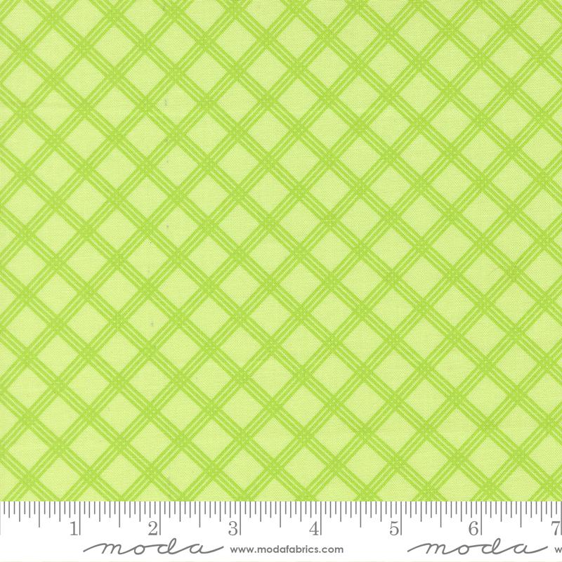 29255 19 Joysome Honeydew