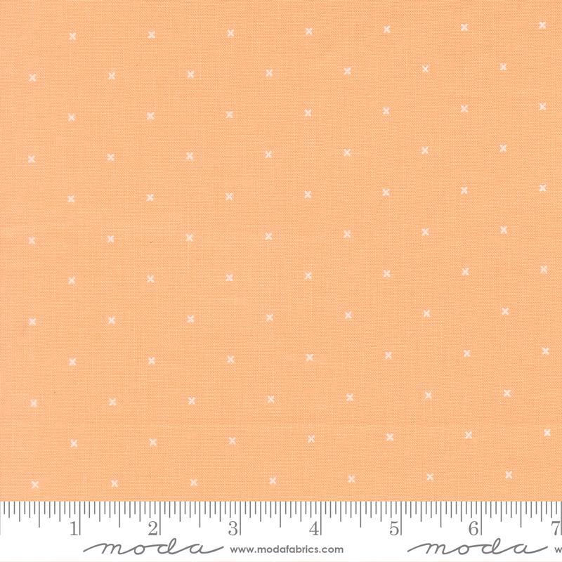 29257 15 Joysome Cantaloupe