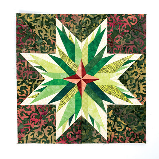 Carol Doak’s Starry Block of the Month