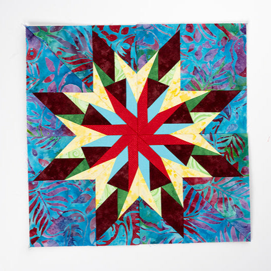 Carol Doak’s Starry Block of the Month