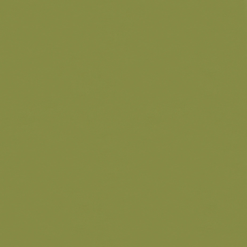 9900 458 Bella Solids Lichen