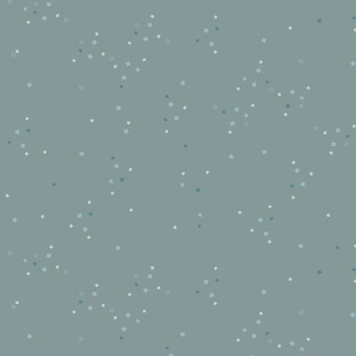 ADV25907 - Twinkle Little Stars Sky