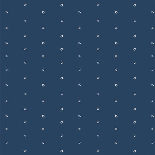 BAM-47111 - Star Light