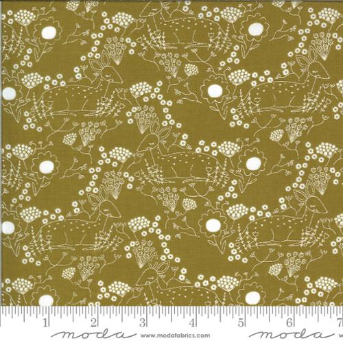 48313 18 Dwell Possibility Umber