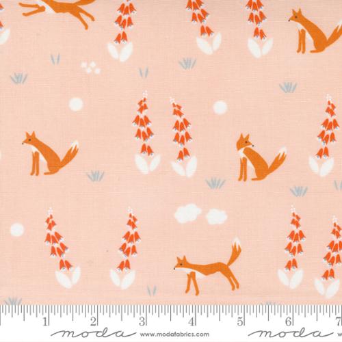 24581 13 Meander Foxes             Blush