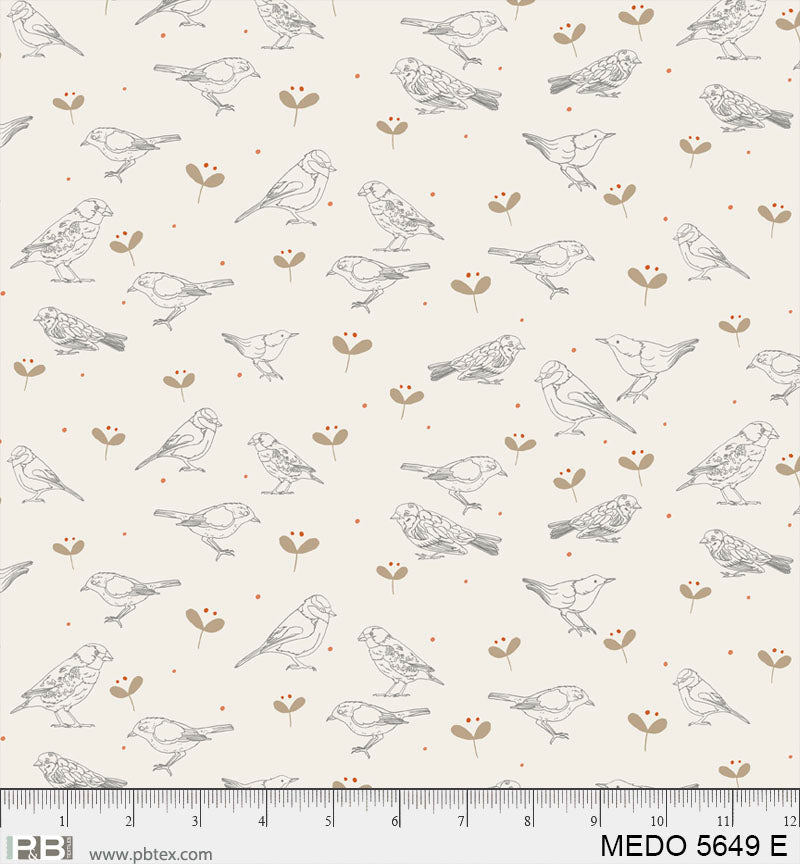 MEADOW||SONGBIRDS||MEDO05649E