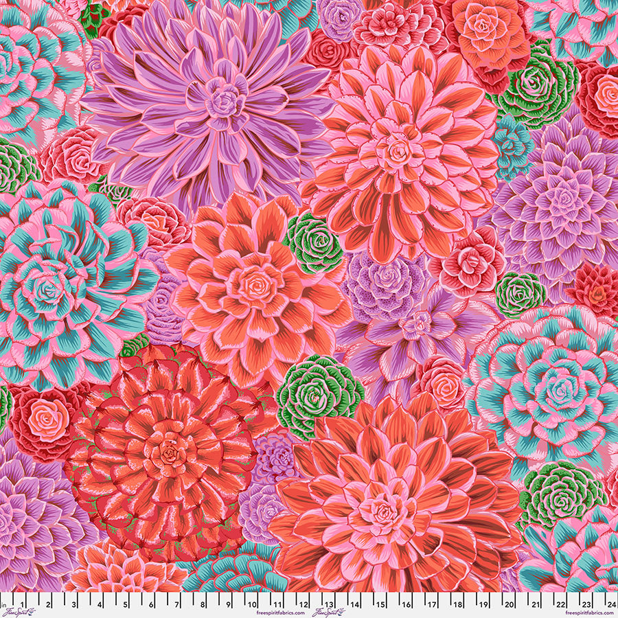 PWPJ113.PINK House Leeks - Pink || February 2025