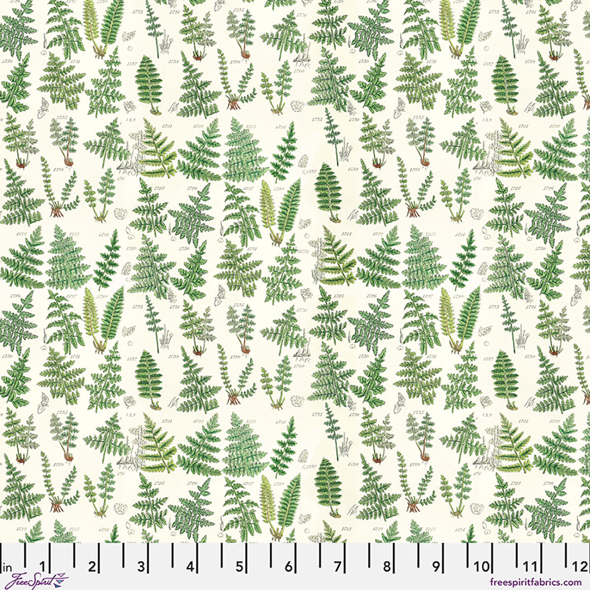 Green Ferns - Green || Palette Curated