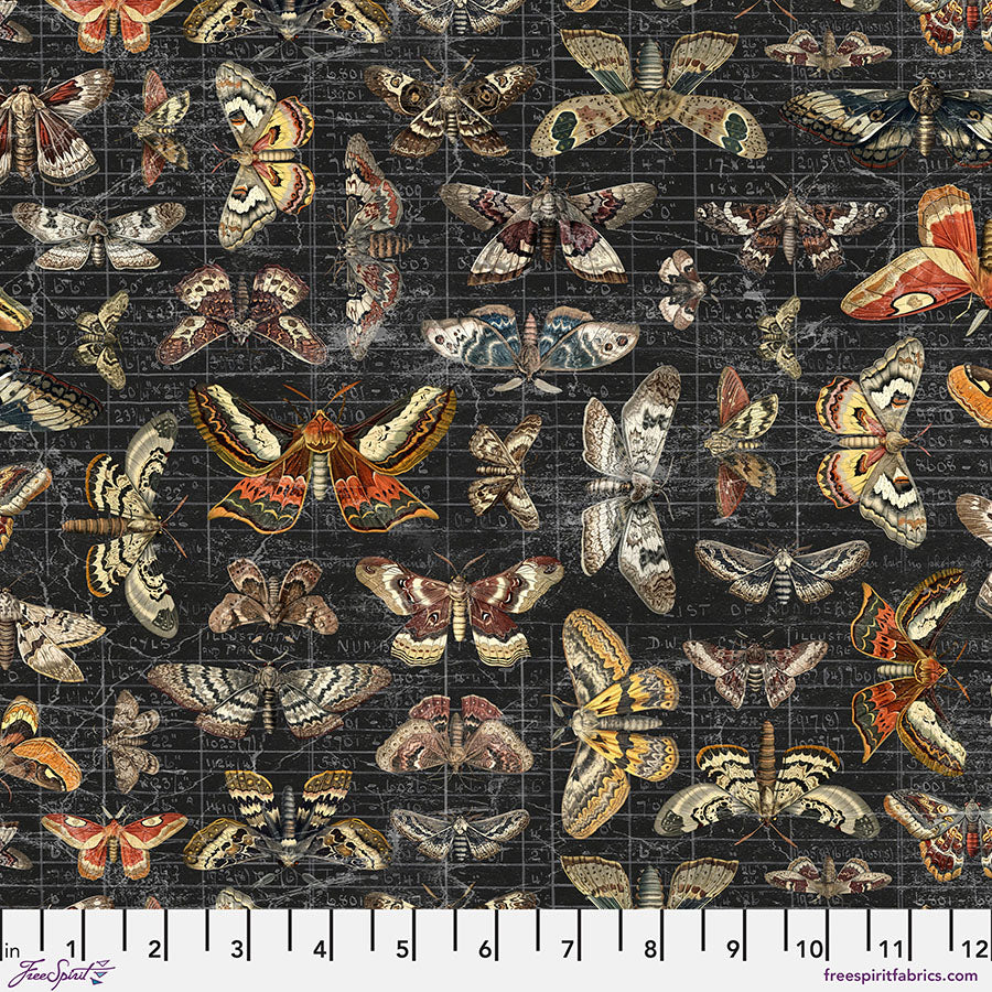 PWTH333.HALLOWEEN Halloween Moth Study - Halloween || Tim Holtz Palette Seasonal