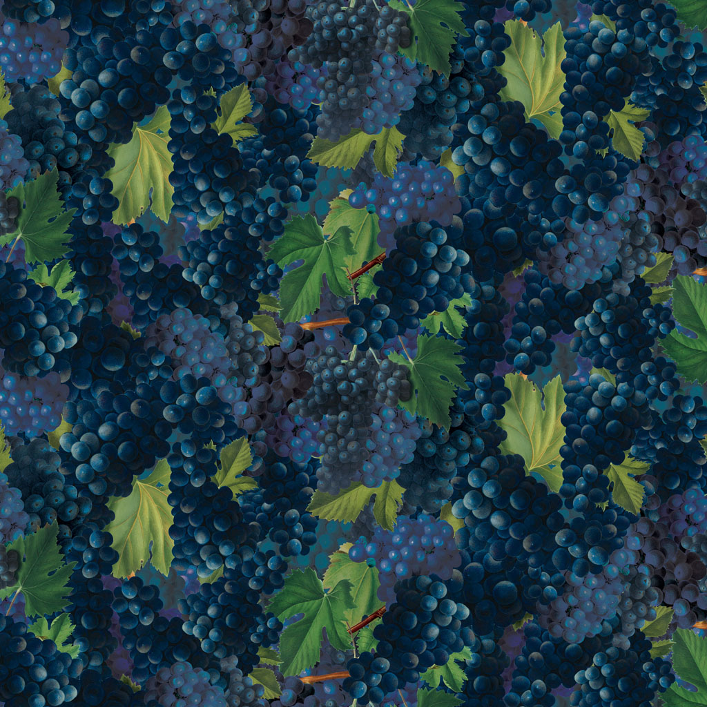 Cheers! - Y3917-30 Dark Blue - Grapes
