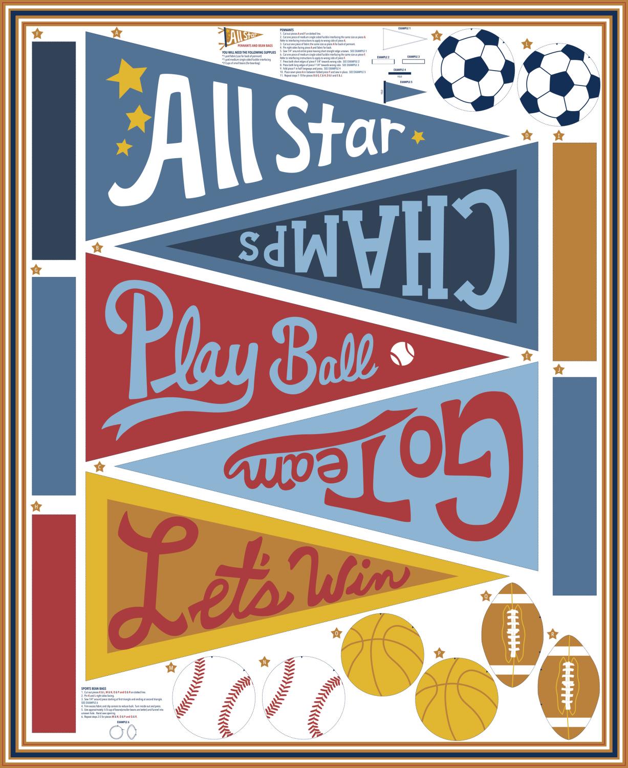 20858 11 All Star Panel