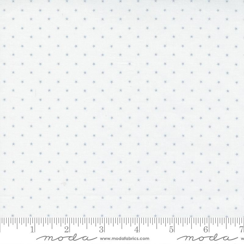 24106 40 Twinkle Greyscale