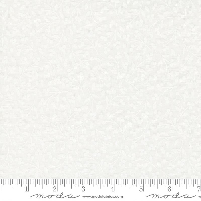 29140 11 Coriander Seeds Little Miss Shabby