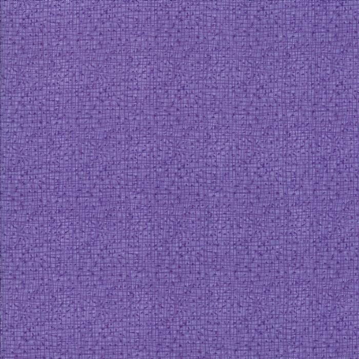 48626 33 Thatched Aster