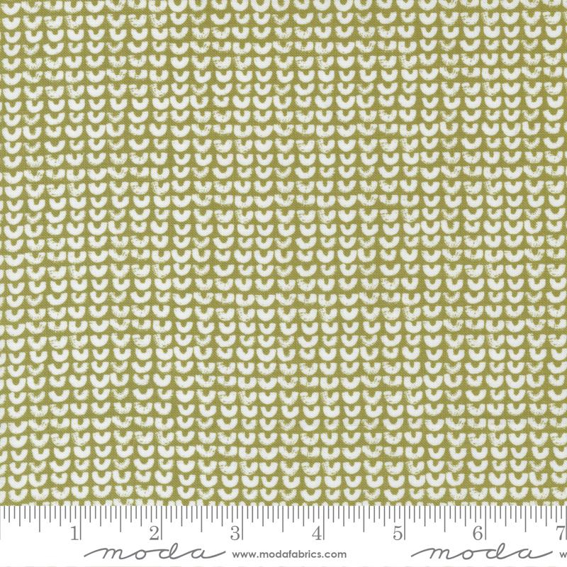 55566 13 Renew Half Full Grass