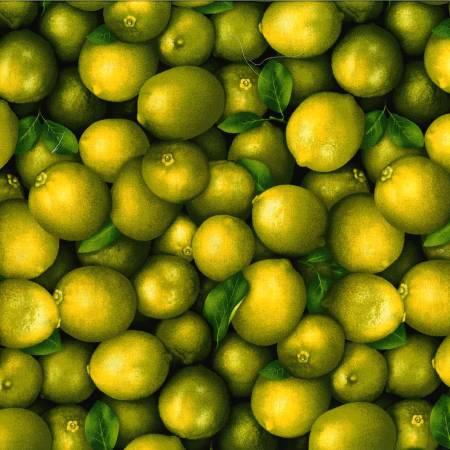 594941 Market Place-Limes Digitally Printed