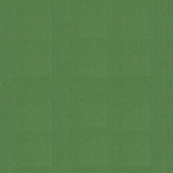 9900 77 Bella Solids Dill