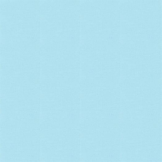 Bella Bias Tape Robins Egg