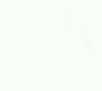 9900 97 Bella Solids Bleached White PFD