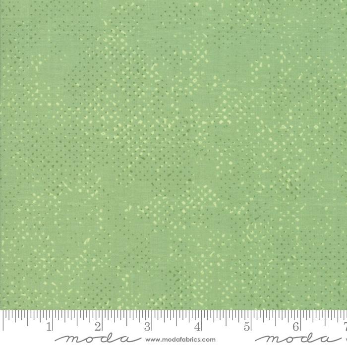 1660 64 Spotted 2019 Zen Chic - Celadon