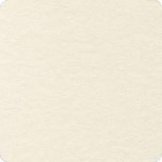 F019-1242 FLANNEL SOLID NATURAL