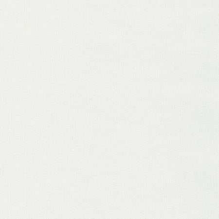 F019-2003 Solid Winter Flannel