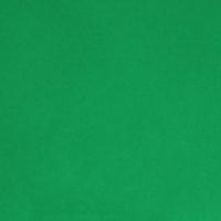 Kelly Green Cuddle Solid