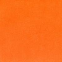 Orange Cuddle Solid