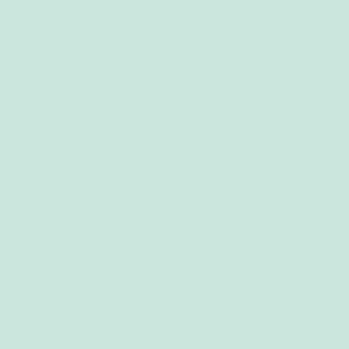 PE-451 Icy Mint