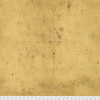 PWTH115.8AMBE Amber || Provisions
