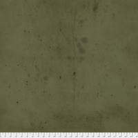 PWTH115.8MOSS Moss || Provisions