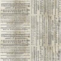 PWTH175.PARCHMENT Typography - Parchment || Monochrome