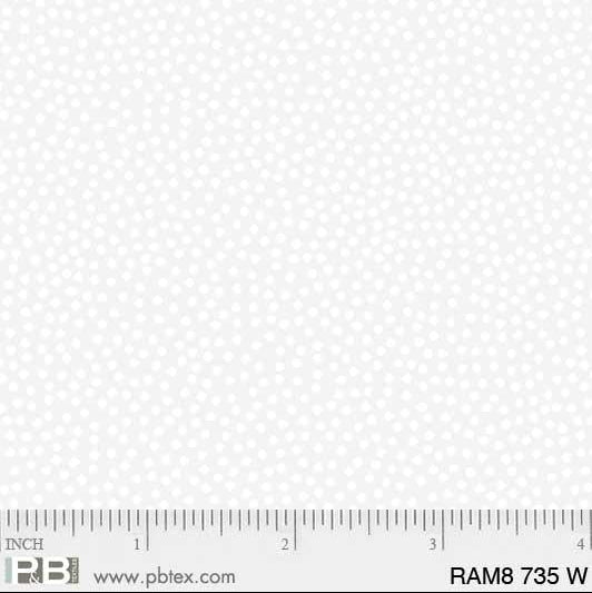 RAM8 00735 W Ramblings