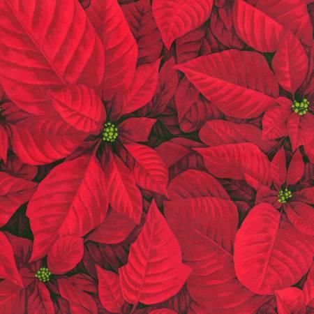 SRKDY-21597-3 Poinsettias Red on Minky