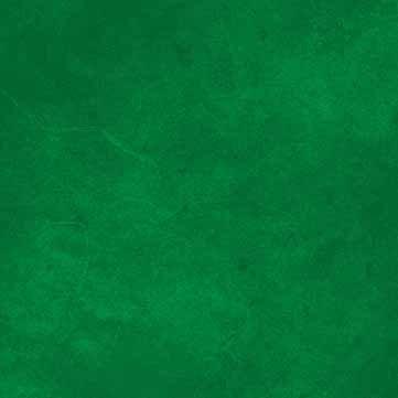 SUEB300-G Suede Green Tonal