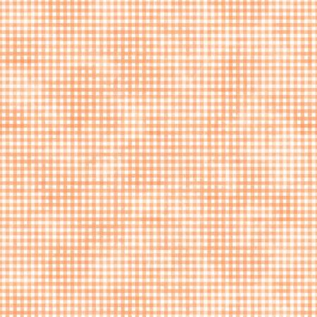 Sorbet - Coral Gingham - SORB04985-J