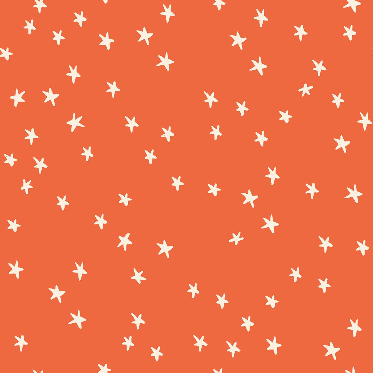 Starry RS4109 42