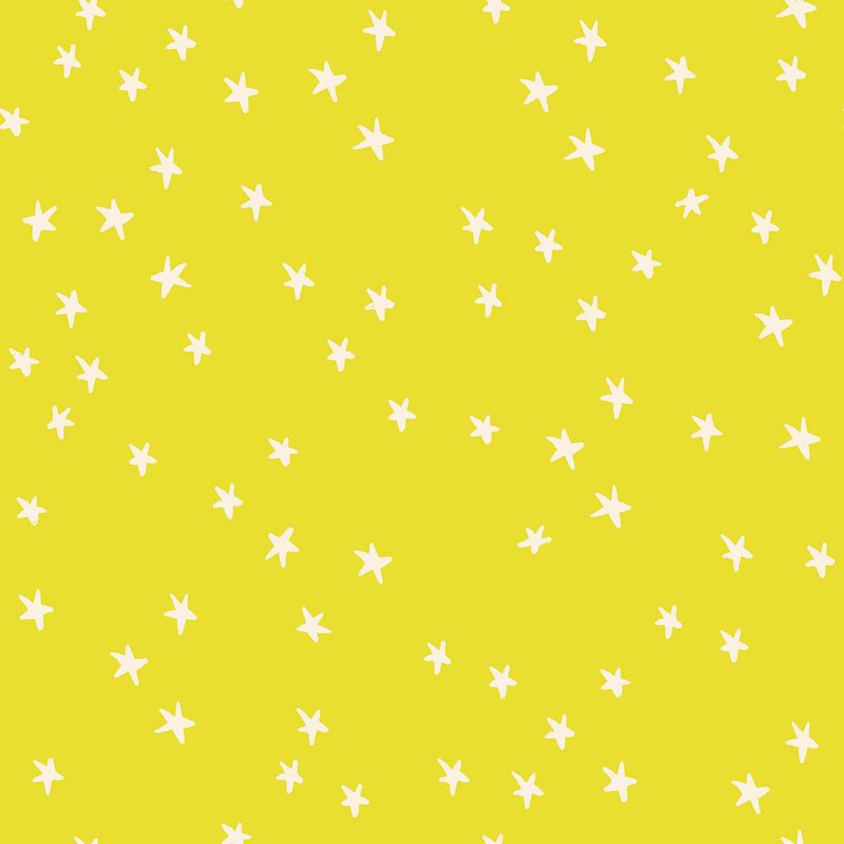 Starry RS4109 47