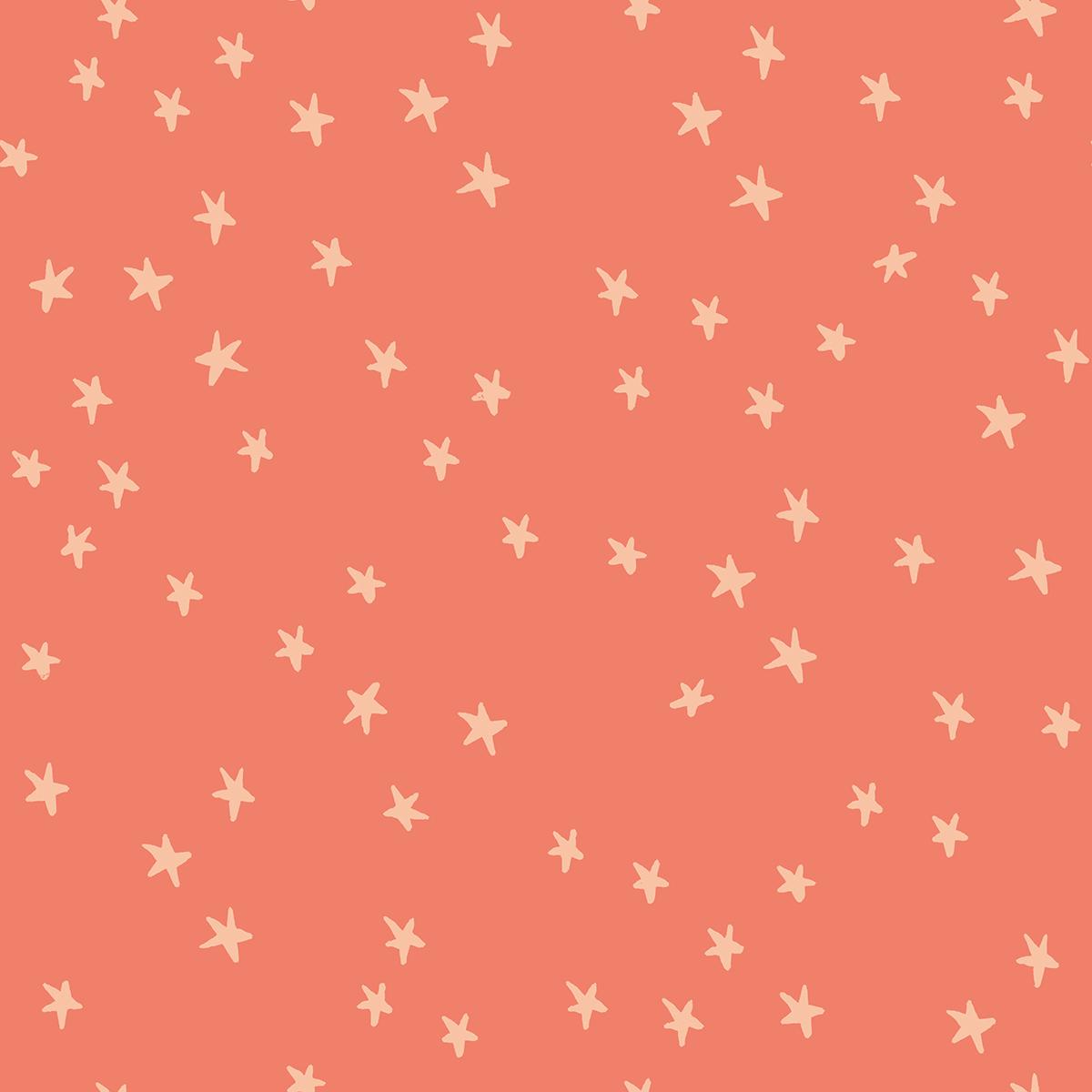 Starry RS4109 54