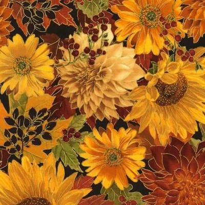 Harvest/Thanksgiving