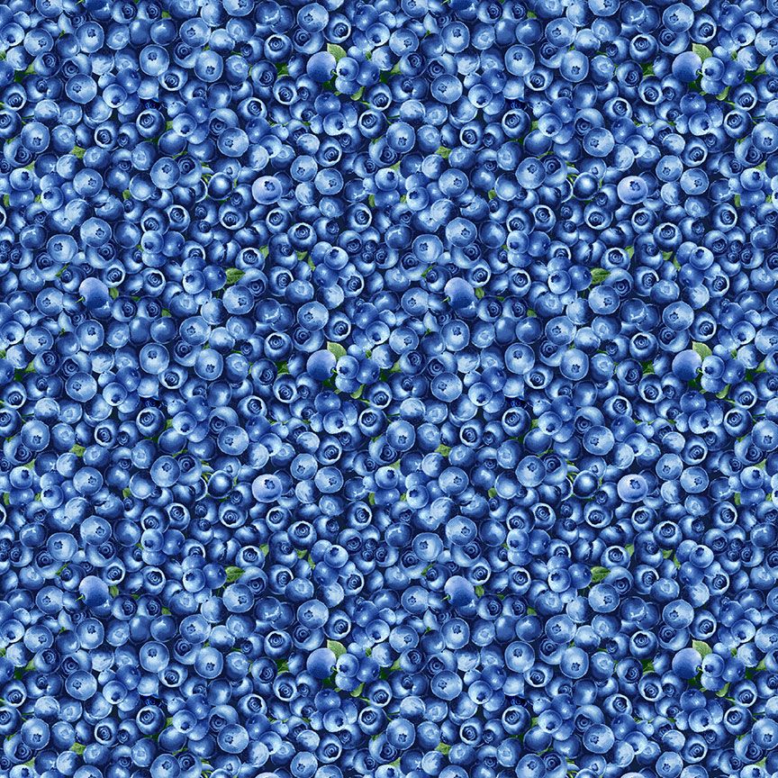 FRUIT-CD1748 BLUE || PACKED BLUEBERRIES
