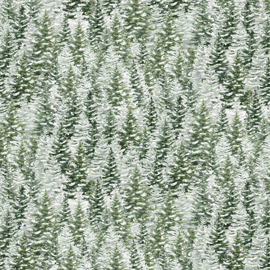 Snowy Pine Trees KATIE-CF3694-Forest