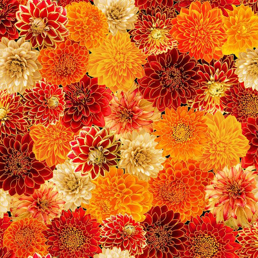 HARVEST-CM4133 || CHRYSANTHEMUM MIX