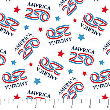 America 250 TM - 29056-10